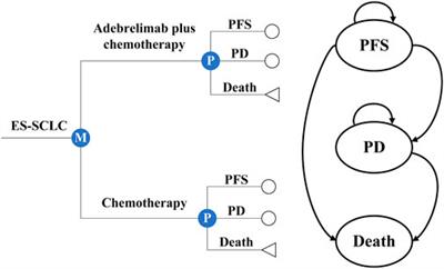 Adebrelimab plus chemotherapy vs. chemotherapy for treatment of extensive-stage small-cell lung cancer from the US and Chinese healthcare sector perspectives: a cost-effectiveness analysis to inform drug pricing